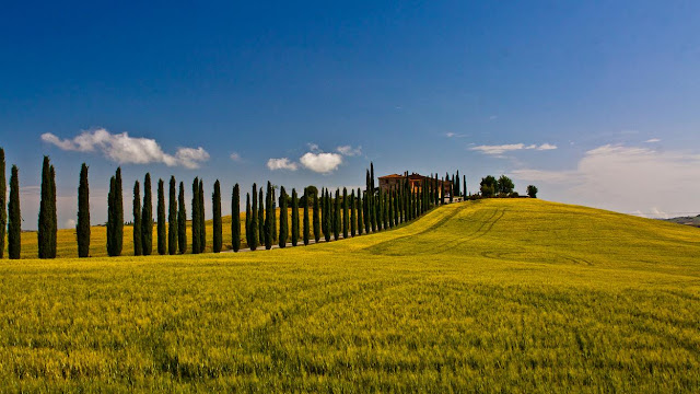  2012
